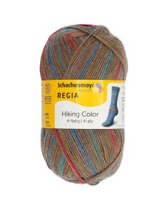 Regia 4-Ply Color Self Patterning Sock Yarn 100g Skein - Chalet Col. 01202