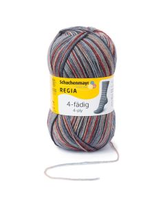 Regia 4-Ply Color Self Patterning Sock Yarn 100g Skein - Vermont Graphit Col. 06029