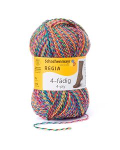 REGIA 4-Ply Self Patterning Yarn 50g - Flower Field