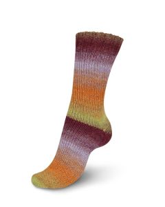 Regia Virtuoso Color Sock Yarn - Chianti Tasting Col. 3074 - 150g Skein
