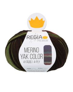 REGIA 4-Ply PREMIUM Merino Yak Color Gradients 100g - Jungle