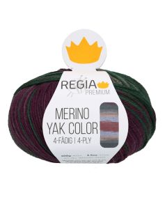 REGIA 4-Ply PREMIUM Merino Yak Color Gradients 100g - Mountain