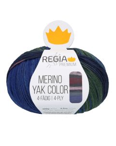 REGIA 4-Ply PREMIUM Merino Yak Color Gradients 100g - Terrain